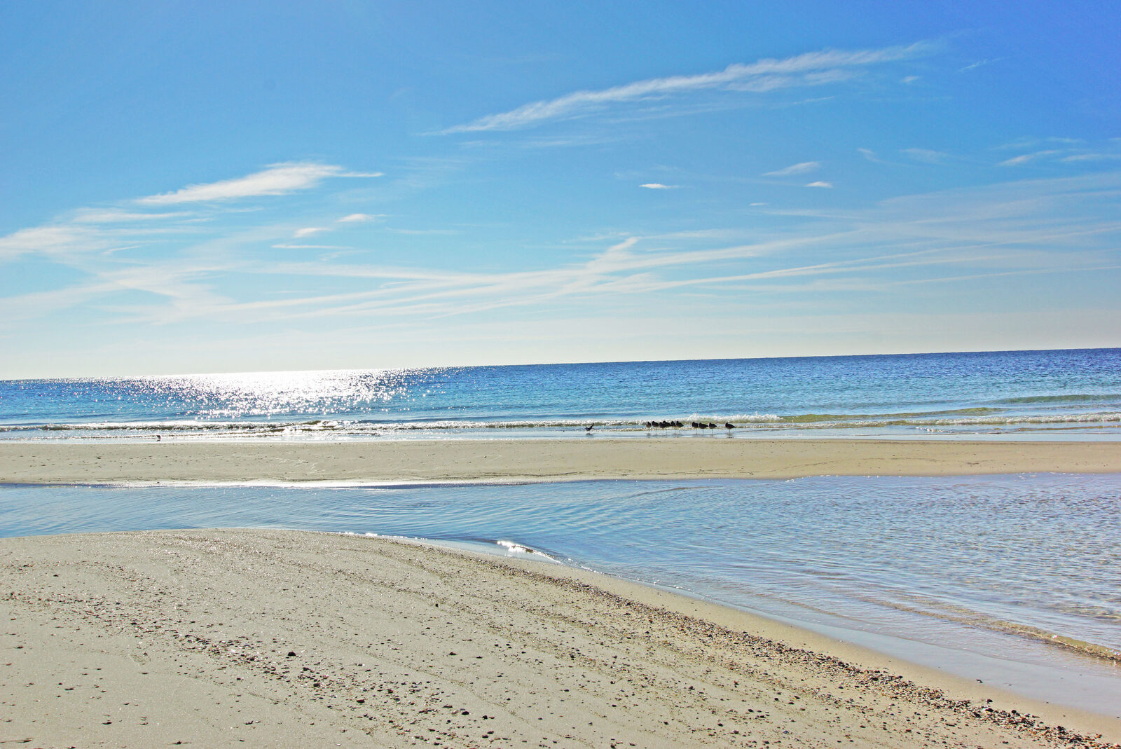 Calm shoreline on the Alabama Gulf Coast